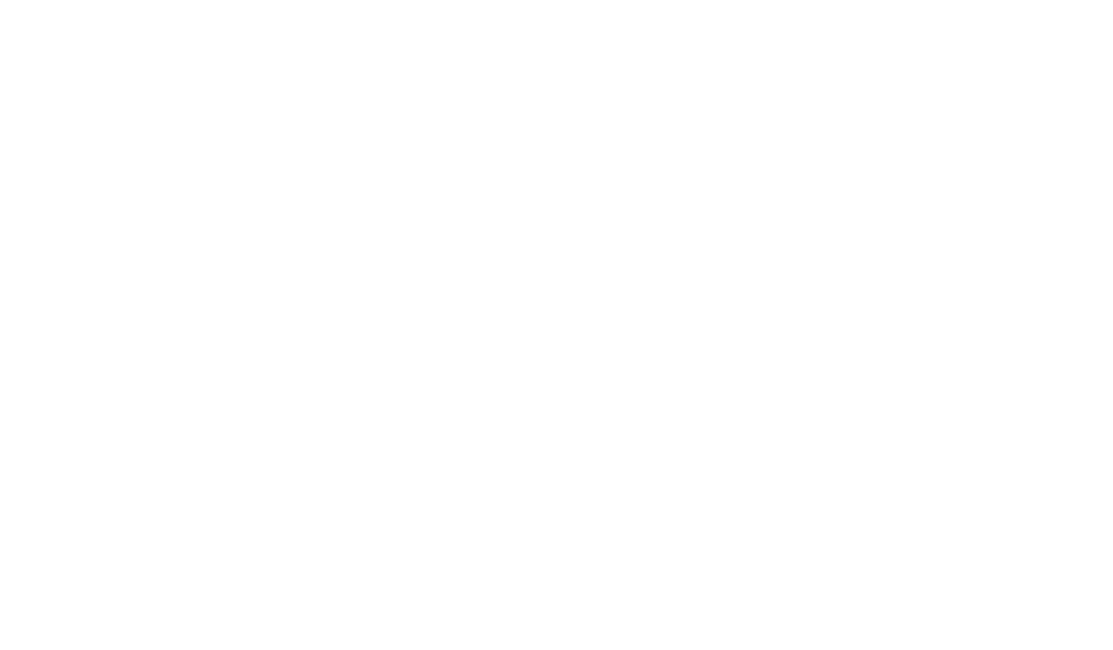 El Sur Films_negativo
