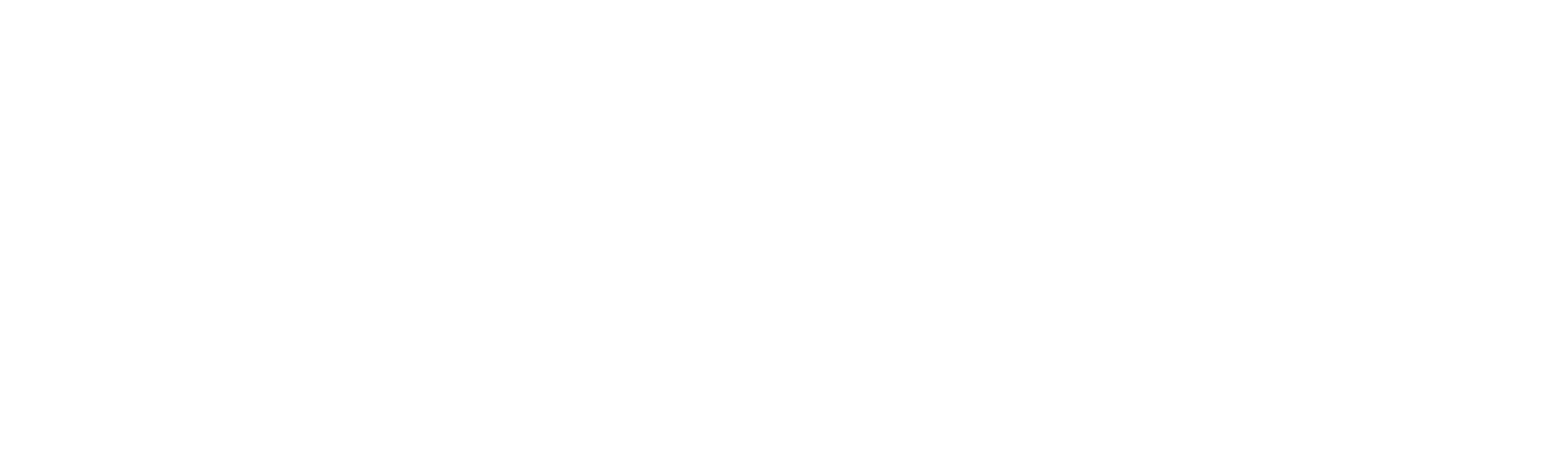 rizoma festival